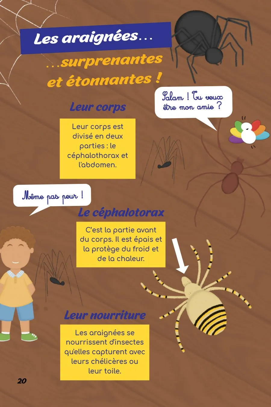 Page 20 du magazine, Oum Mooztiq t'explique : les araignées, Magazine Mooztiq n°4