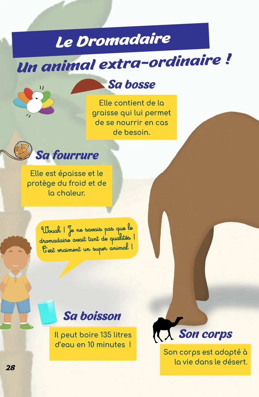 Page 28 du magazine, Oum Mooztiq t'explique : les camélidés, Magazine Mooztiq n°3