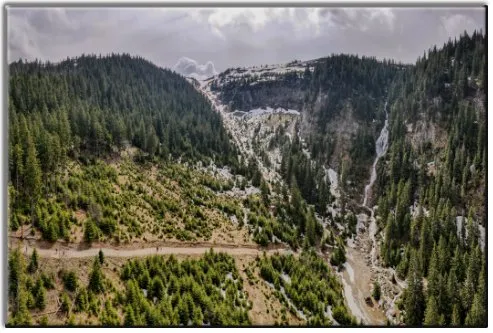 Un canyon rocheux en Transylvanie