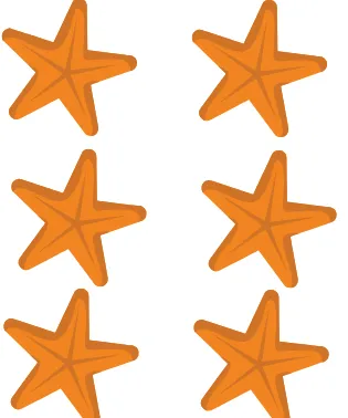 Des étoiles de mer