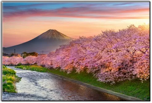 Le mont Fuji