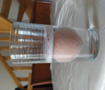 L'œuf après 24 heures dans le vinaigre