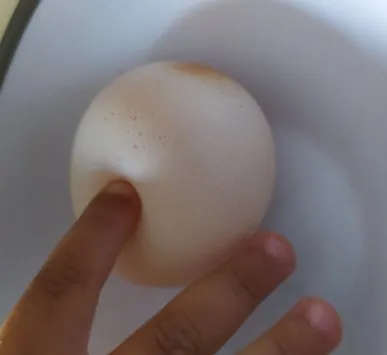 L'œuf sans coquille, dans une main
