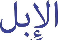 Le mot ibil écrit en arabe